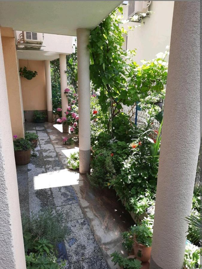 Vila Doris Hotel Baska Voda Bagian luar foto