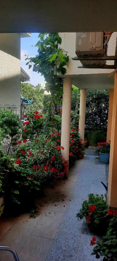 Vila Doris Hotel Baska Voda Ruang foto